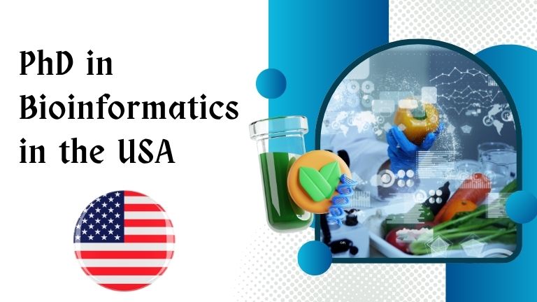 PhD in Bioinformatics in the USA